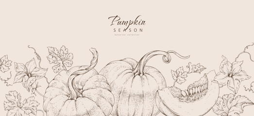 Obraz premium Background with pumpkin with flowers and leaves. Line art hand drawn illustration of botanical elements of farm and autumn. Fall and cozy seasonal designs