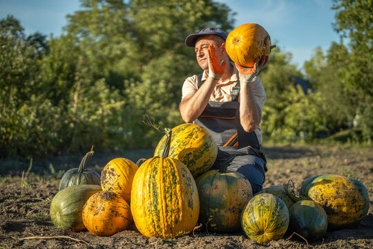 In a sunlit rural field, a farmer joyfully lifts a large pumpkin, surrounded by a colorful assortment of pumpkins and gourds. The clear sky brightens the bountiful harvest