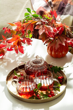 Glass teapot and cups filled with red tea set on golden tray with rosehip branches and autumn leaves