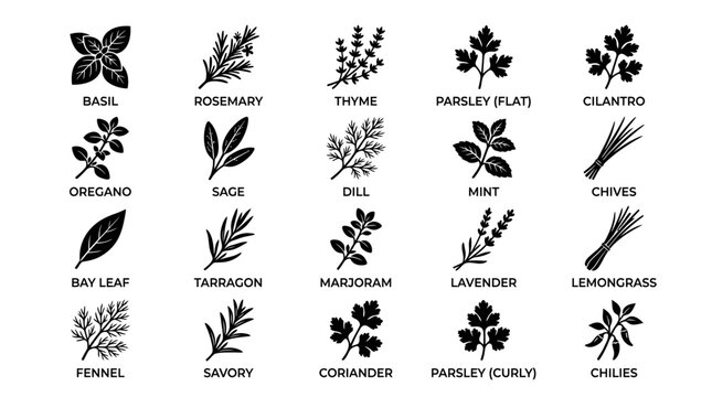 Set of black kitchen herbs and spices icons including basil rosemary thyme parsley cilantro and other culinary plants