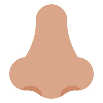 Human nose icon frontview