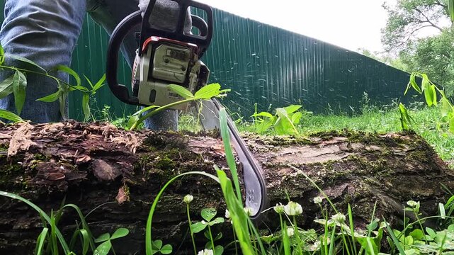 Worker cuts log with chainsaw outdoors. Greens surround the cut tree. Background fence is green and tall. Worker grips chainsaw firmly. Chainsaw blade slices through wood