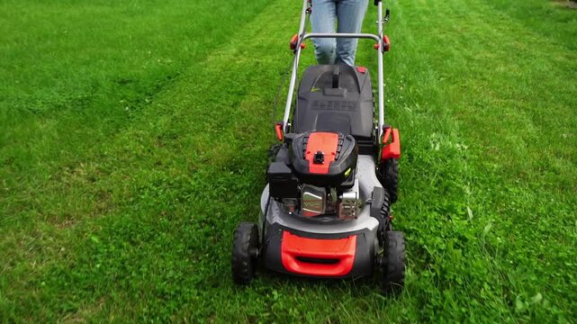 Person mows lush green grass with a gas-powered lawn mower. Mower moves steadily across the lawn, cutting grass evenly. Lawn mower has red and black accents, rugged wheels, and sturdy handle
