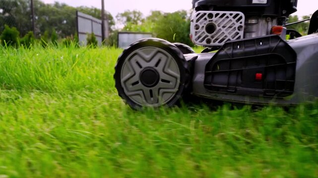 Lawn mower cuts grass with precision. Green blades slice through thick blades. Grass bends under mower's weight. Mower moves forward with steady rhythm. Equipment glides over well-maintained yard
