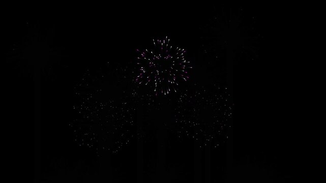 Vibrant multicolored fireworks display exploding against dark night sky background, celebration pyrotechnics