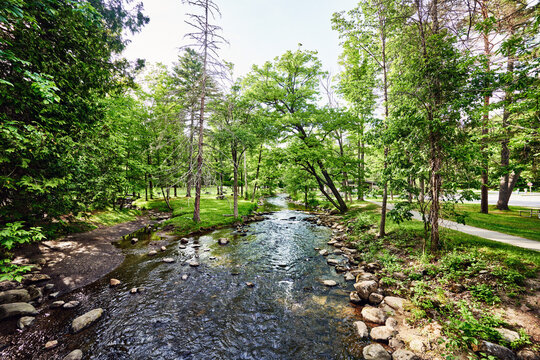 scenic stream flowing through Saratoga Spa State Park, New York