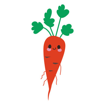 Vegetable characters carrot flat
