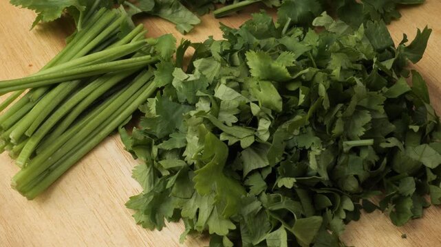 Fresh green chopped coriander rotating slowly