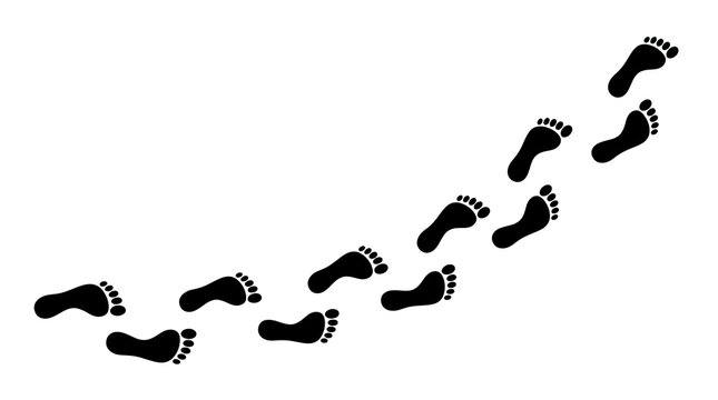 Sequential Footprints of Human Steps on Surface.