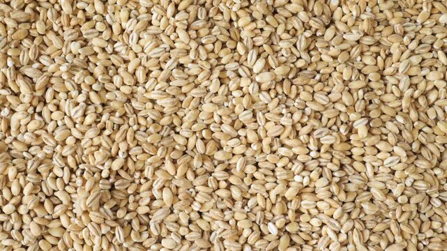 Pearl barley grains filling the frame from above
