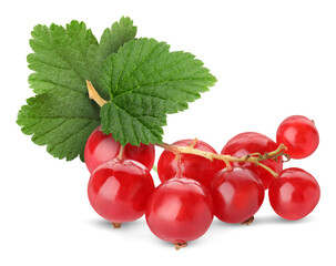 Obraz na płótnie Canvas Red currants and green leaves against transparent background