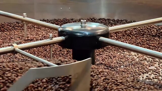 Fresh roasted coffee beans in large industrial coffee roaster spinning cooling cylinder, Cafe Beverage Machinery, Automated Processs, Ingredient factory, Eye Level Shot