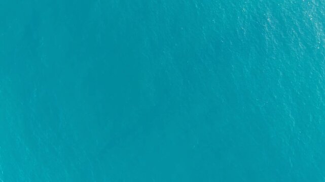 Chayka Golden Sands Bulgaria Top Down Drone Fly Over