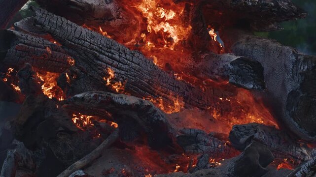 Firewood with orange flames and hot embers. Blackened firewood burning beneath intense flames. Closeup firewood with charcoal. Firewood combustion with burnt timber branches. Fire and flame.
