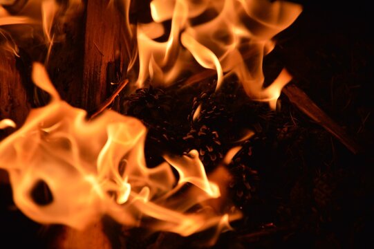 Burning Pine Cones and Wood Surrounded by Bright Orange Flames