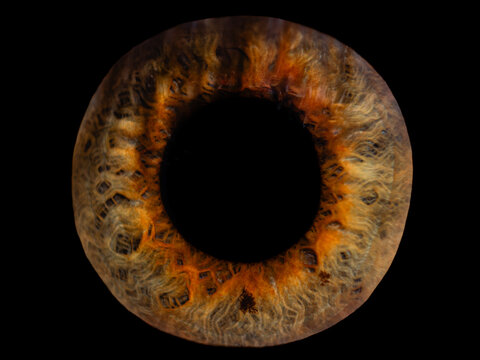 burning fire circle