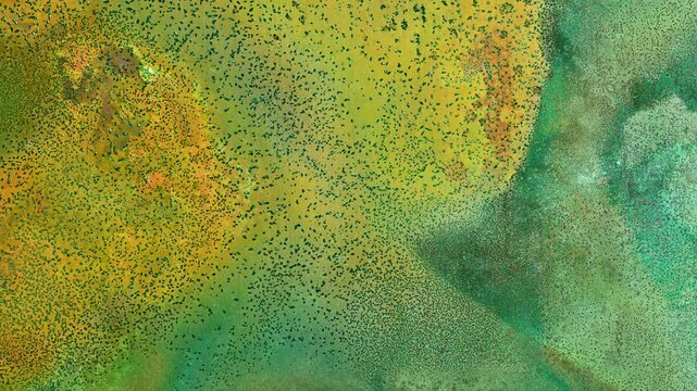 Macro timelapse of copper oxidation and patina formation, showing dramatic green, turquoise, blue, orange and red color transitions, corrosion patterns and crystalline surface textures