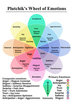 Plutchik's Wheel of emotions Therapy psychology study diagram