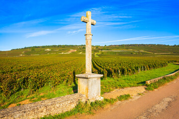 Naklejka premium Iconic cross at Romanee Conti vineyard in Vosne Romanee, Burgundy