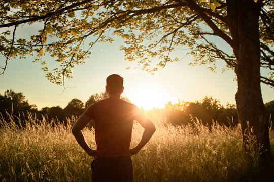 Man Standing in Golden Sunset Field Reflecting on Life, Hope and Future
