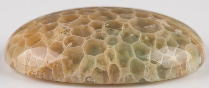 Lung alveoli honeycomb air sac structure in a polished gemstone cabochon