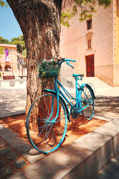 Vintage blue bicycle with flower basket leaning on tree in historic town square of Denia, Spain