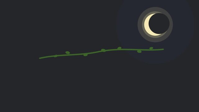 Minimalist night sky graphic featuring simple crescent moon and horizontal foliage branch silhouette against dark background