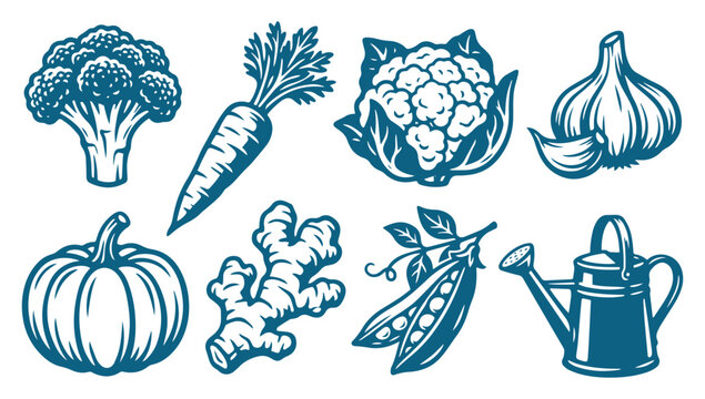 Set of organic vegetables and gardening tools in vintage hand drawn engraving style