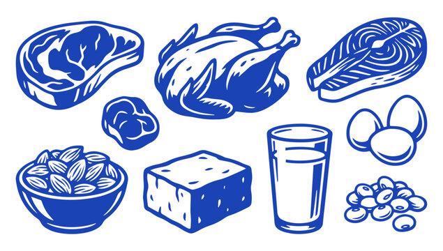 Set of protein rich food icons including meat poultry fish eggs nuts and tofu