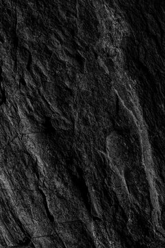  Textura natural de corteza de &aacute;rbol oscura vertical. Superficie de madera natural con patr&oacute;n vertical; transmite rusticidad, naturaleza y robustez org&aacute;nica.