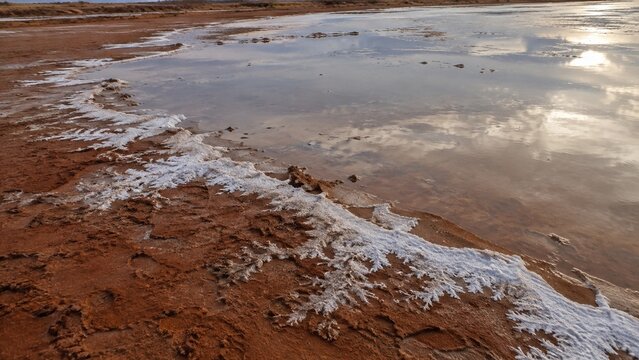 White salt crystals form a jagged crust along the edge of a shallow body of water, meeting reddish brown earth under a bright sky