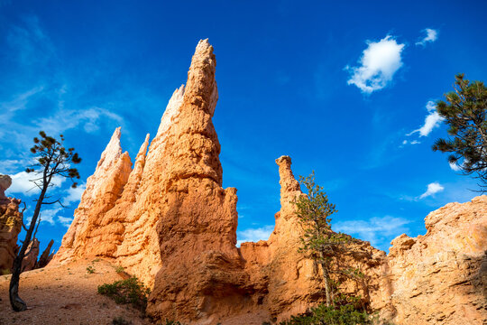 Hoodoos seen from the Queen's Garden Trail in Bryce Canyon National Park, Utah
