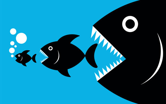 Large black fish chasing a medium fish, which is chasing a small fish, on bright blue background predator