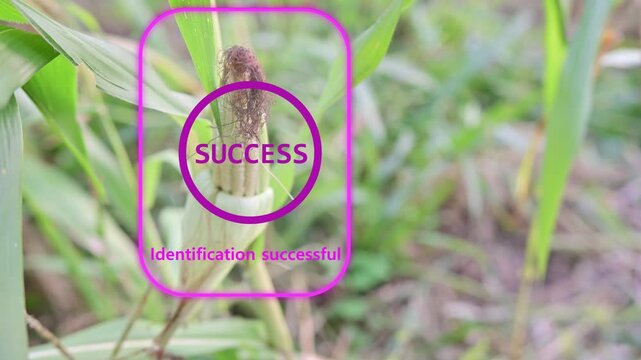 AI-Powered Smart Farming Technology in Plant Scanning and Crop Health Monitoring Using Artificial Intelligence, Precision Agriculture, Digital Farming, Intelligent Crop Inspection