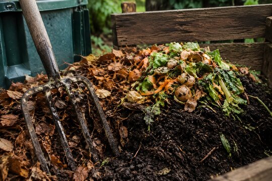 Composting hobby setup with garden fork dry leaves vegetable scraps and rich dark compost outdoors