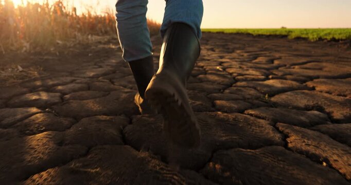Farmer in rubber boots walking across a dry, cracked field. Severe drought and climate change impacting agriculture and farming