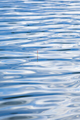 Fishing float floating on calm blue water surface during outdoor activity © Denis