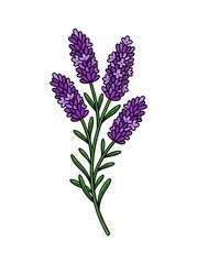 Obraz premium bouquet of lilac