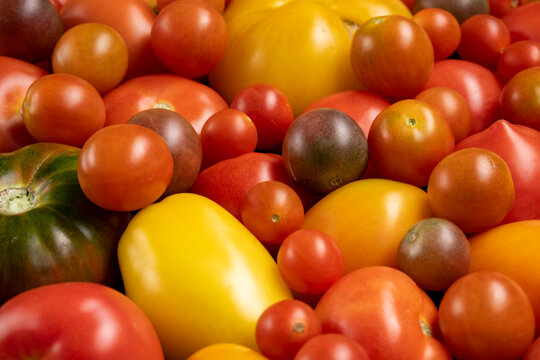 Close up of tomatoes different kind and colors. Mix of multicolored kind of tomatoes background. Top view, flat lay