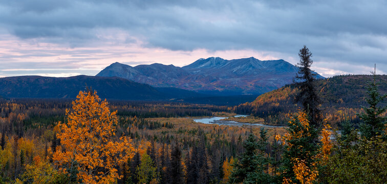 Autumn colors painting Denali National Park wilderness mountains