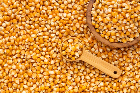 Popcorn kernels in a bowl and a wooden spoon, set against a background of yellow kernels.