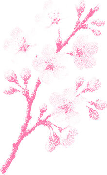 Halftone stipple flower branch with retro grunge style and transparent dotted design