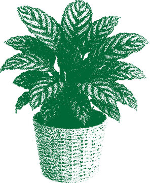 Halftone stipple art of potted plant in retro grunge style with dotted transparent design