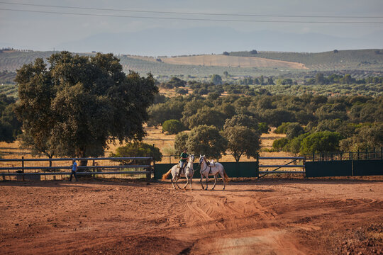 Horseback riders moving through dry dehesa countryside in Andalusia