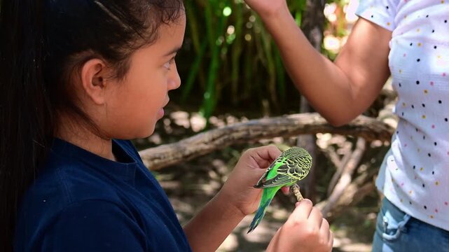 Girl feeding birds with birdseed