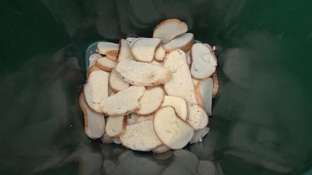 Bread waste disposal concept. Organic garbage for composting or animal feed