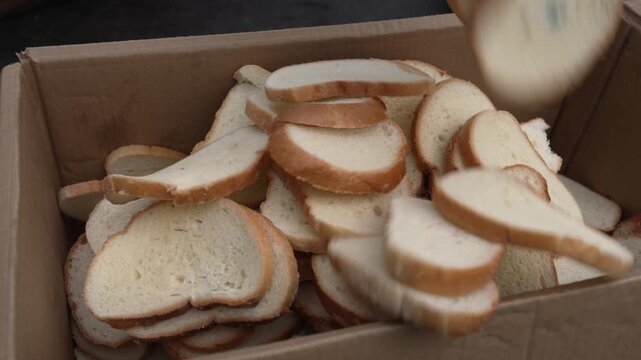 Bread waste for animal feed. Environmental impact wasted bread resources
