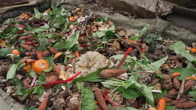 Worm composting is an efficient method of turning kitchen waste and small amounts of garden waste into nutrient-rich compost and a concentrated liquid fertiliser. Worm Farms