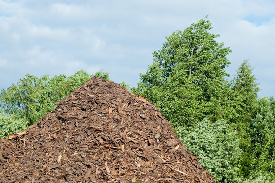 The photo shows wood chips against a backdrop of blue sky and green trees