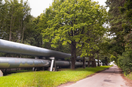 The photo shows a pipeline against the backdrop of a forest, with a road running alongside it